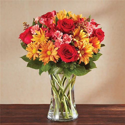 147198L_HR_fd_2_9_17